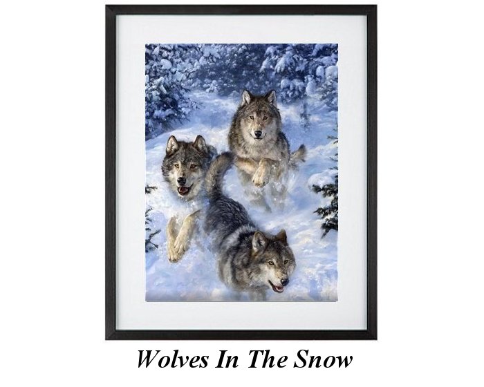 North American Wolves In Snow